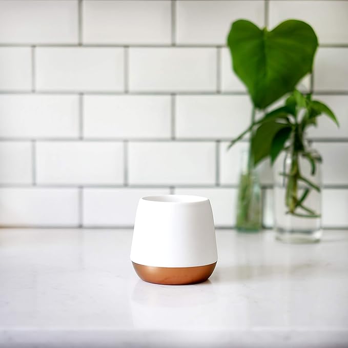 Fellow Big Jo' Double Wall Ceramic Coffee Mug - Refined and Sophisticated, Matte White, Single 12 oz Cup