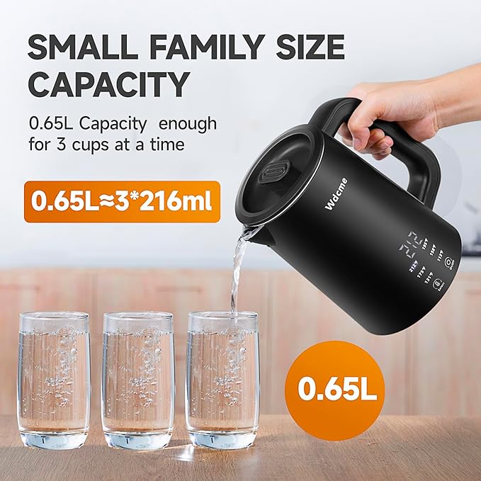 0.6L Small Travel Electric Kettle 800W,6 Temperature Control Dual Voltage 110-240V Smart Tea Coffee Kettle,12H Keep Warm,304 Stainless Steel Portable Hot Water Boiler (Black)