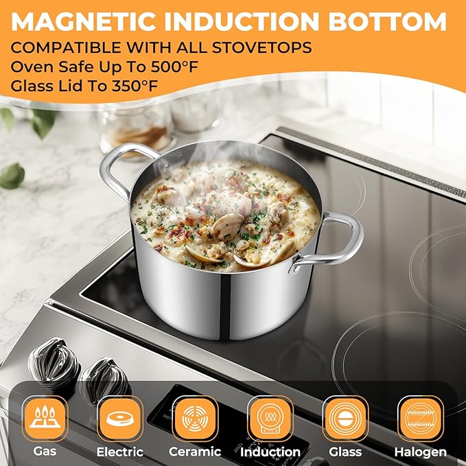 Tri-Ply Stainless Steel Stock Pot, 8 Quart Heavy Duty Induction Cooking Pot with Visible Lid for Pasta, Soup, Spaghetti, Sturdy & Double Handle, Dishwasher Safe