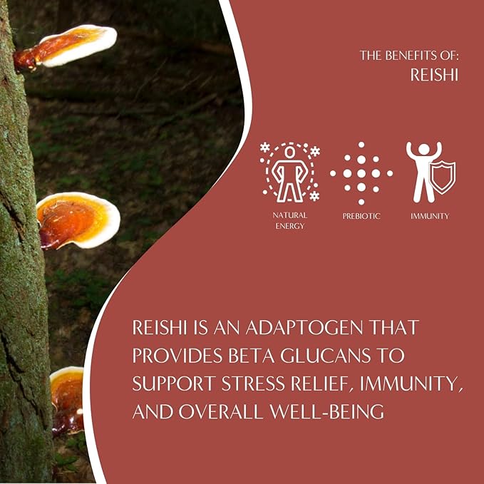 Teeccino Reishi Eleuthero Coffee Alternative - French Roast - Organic Adaptogenic Herbal Mushroom Coffee, Dark Roast, Caffeine Free, Prebiotic, Acid Free, All-Purpose Grind - 10 Oz