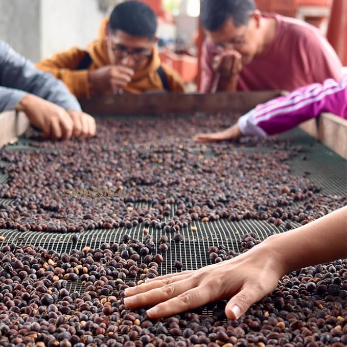 Coffee Adventures Green Unroasted Coffee Beans From Peru - Finca Santa Estela Single Estate Blend - Caturra, Catuaí, Catimor, Typica, Bourbon Blend - Direct Trade Green Coffee Beans for Coffee Roaster | 5 lb