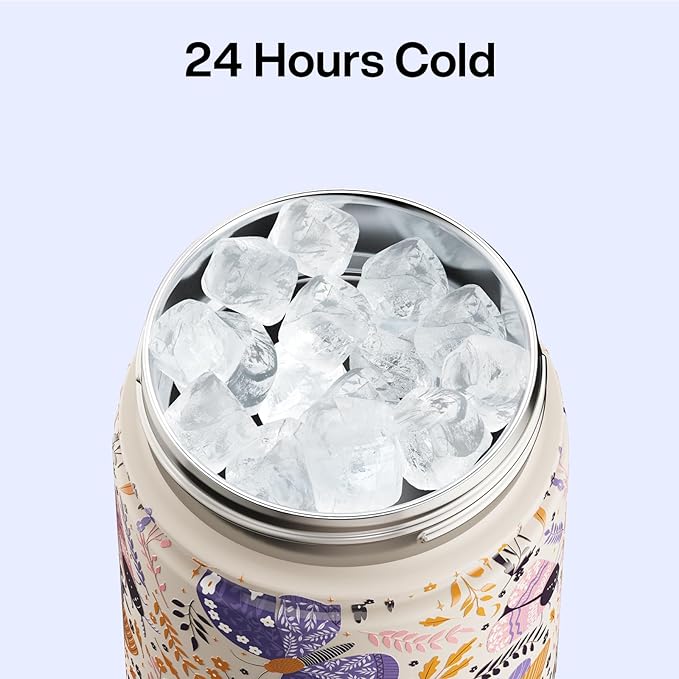 ENCOOL Insulated Water Bottle with Straw Stainless Steel Water Bottle, Leak-Proof, BPA-Free, Double Wall Vacuum Keeps Cold for 24 Hours for Sports, Travel, School (26 oz, Lavender Butterfly)
