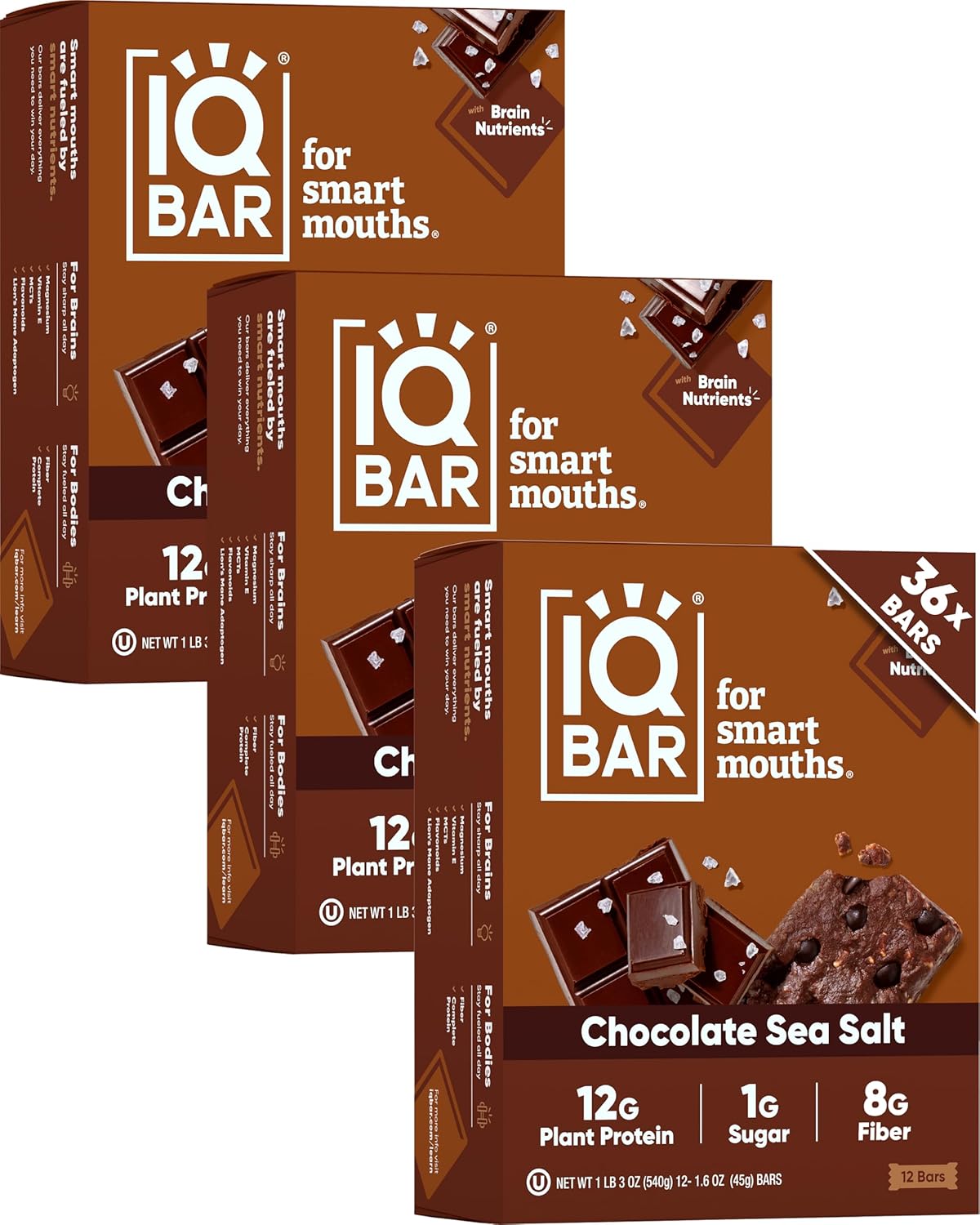 IQBAR Clean Plant Protein Bars - Chocolate Lovers Variety - 12 Count - Keto, Vegan, High Fiber, Gluten and Dairy Free, Low Sugar Snack - Brain and Body Nutrients for Focus, Energy, Meal Replacement