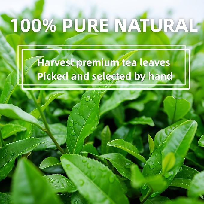 Ceremonial Grade Matcha (100g / 3.53oz), Organic Matcha Green Tea Powder, 100% Natural Pure Matcha for Lattes, Smoothies & Baking