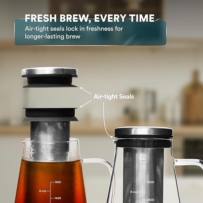 ovalware Double Wall Single Lip Insulated Glass Minimalistic Double Wall Drinkimg Mug with Airtight Cold Brew Iced Coffee Maker Pitcher RJ3 Brewing Glass Carafe with Removable stain