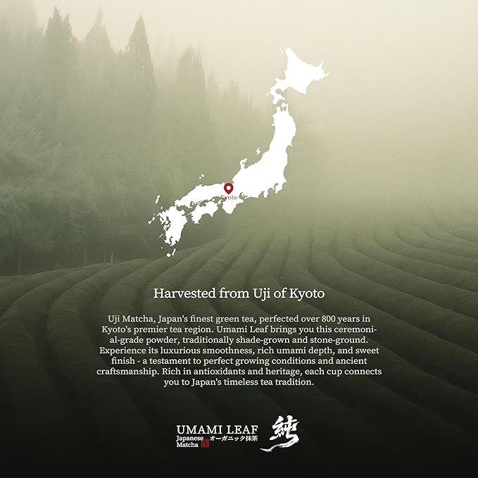 Umami Leaf Organic Japanese Ceremonial Grade Matcha - 100% Pure Green Tea Powder, USDA Certified, First Harvest, Authentic Origin From Uji, Kyoto (40g / 1.4oz Tin)