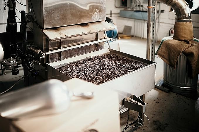 Costa Rica Tarrazu Dark Roast Coffee Beans (12oz), DARK ROAST, Good As Gold Coffee Roasters