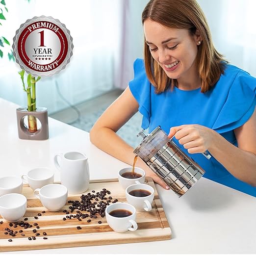 OVENTE French Press Coffee Maker 27 Ounce with Heat Resistant Borosilicate Glass, Stainless Steel Design and 4-Level Filter System, Portable Cold Brewer Pot for Travel, Camping or Gift, Silver FSS27P