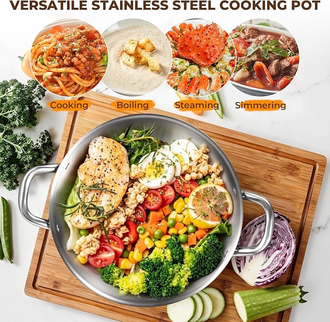 Tri-Ply Stainless Steel Stock Pot, 20 Quart Heavy Duty Induction Cooking Pot with Visible Lid for Pasta, Soup, Spaghetti, Sturdy & Double Handle, Dishwasher Safe