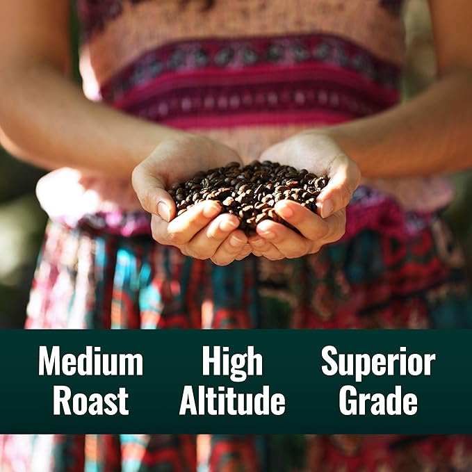Natural Force - Organic Clean Decaf Coffee, Mold & Mycotoxin Free, Lab Tested for Toxins & Purity, Low Acidity, Whole Bean Swiss Water Decaf Medium Roast, 12 oz