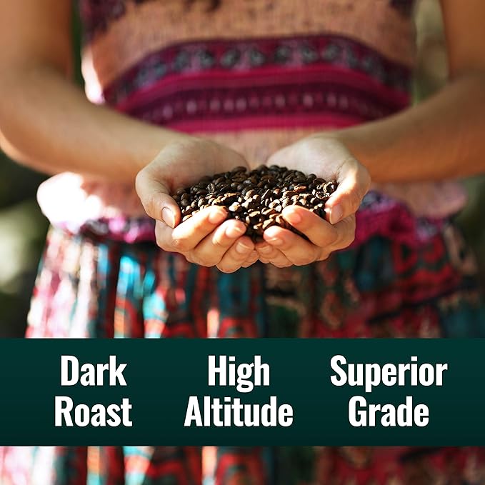 Natural Force - Organic Clean Coffee Dark, Mold & Mycotoxin Free, Lab Tested for Toxins & Purity, Low Acidity, Incredible Taste & Aroma, Founder's Select Whole Bean Dark Roast, 12 oz