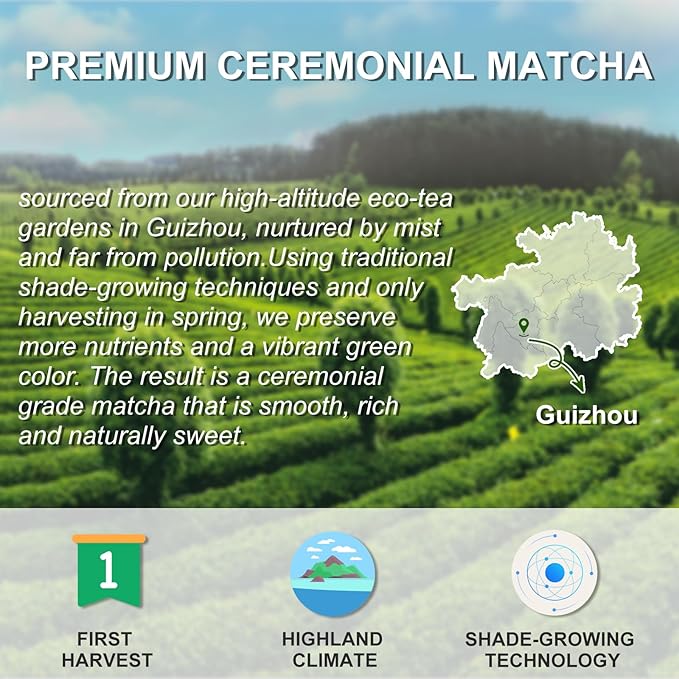 Letstay Matcha, Matcha Powder Ceremonial Grade Highland Matcha Tea Organic Matcha Green Tea - Premium 1st Harvest - Zero Sugar, Halal Certified & SGS Certified & FSSC 22000, 30g (1.06oz) Tin