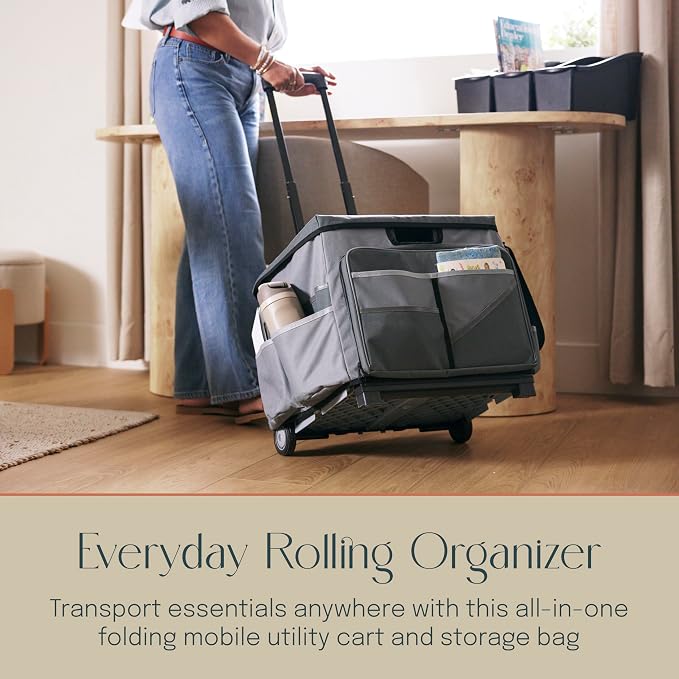 Mobile Folding Utility Cart with Canvas Storage Organizer Bag, Rolling Cart, Dark Grey/Grey