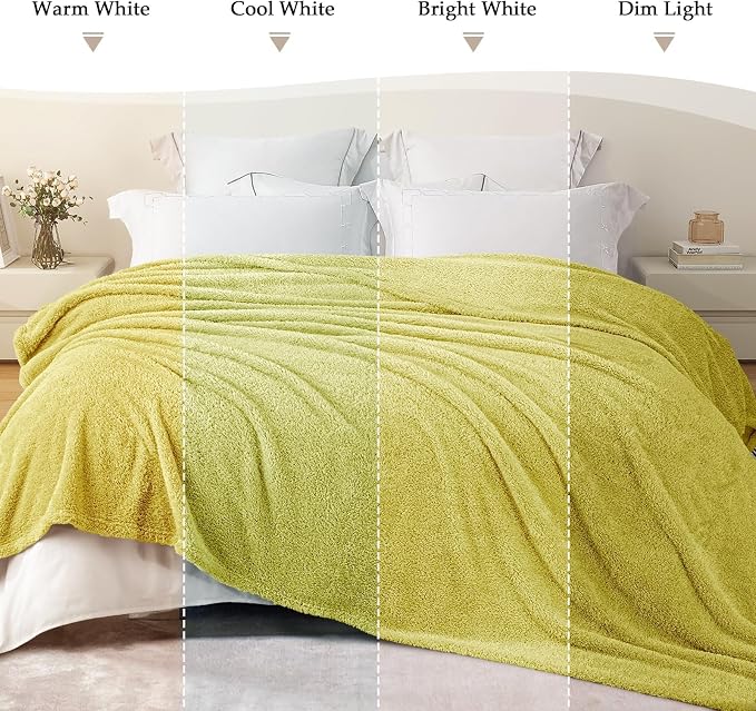 Exclusivo Mezcla Fleece Bed Blankets Queen Size, Ultra Soft, Lightweight and Fuzzy Light Green Blanket for Women, Home Decor, 90x90 Inches