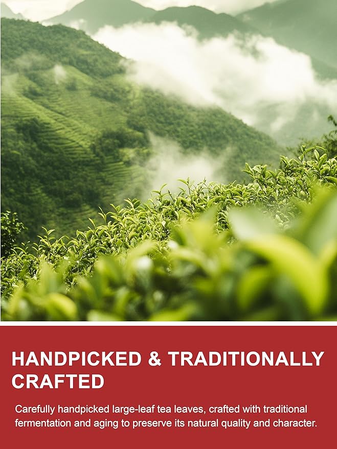 TeeLux Emperor Pu-erh Tea Loose Leaf, Fermented Yunnan Dark Tea, Smooth & Mellow Flavor, 16oz