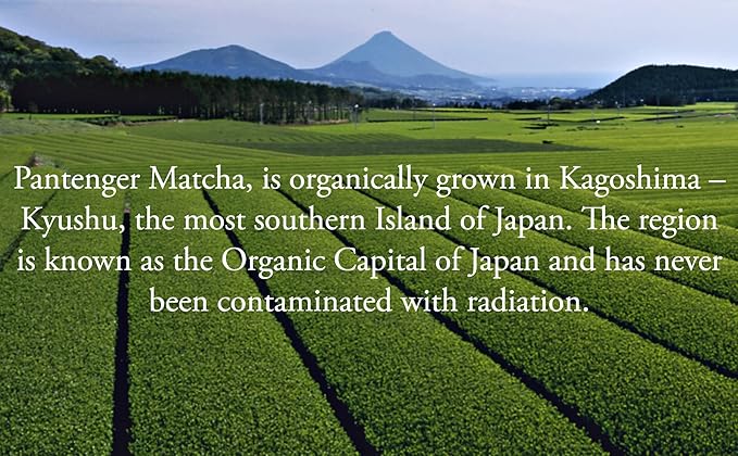 Organic Matcha Green Tea Powder | 3.5 OZ - 80 Servings | Latte & Smoothie Grade | Japanese - First Harvest - Stone Milled | By Pantenger