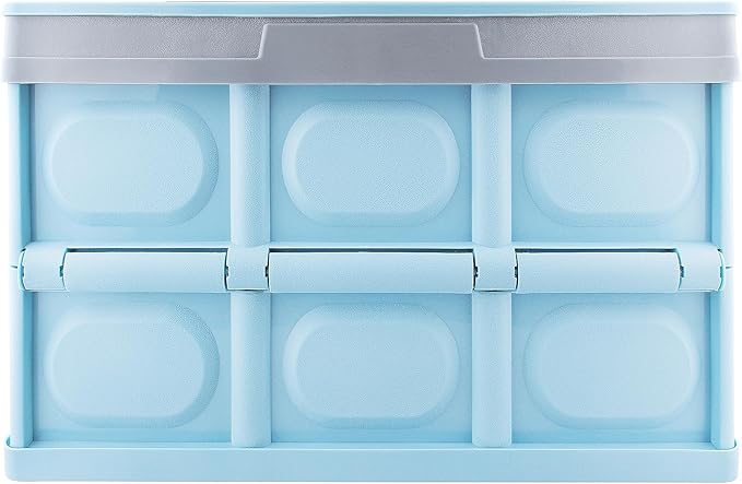 Trunk Organizer for Car,Foldable Car Organizer Back Seat,Tool Storage Organizer for Suv,Car Trunk Organizer and Storage for Sedan (Acrylonitrile Butadiene Styrene-Blue, 16.6 inch*11.3 inch)