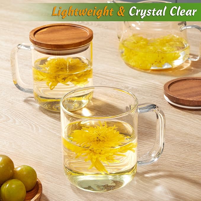 DRASTAR Glass Coffee Cups, 16 oz Coffee Mugs, Flat Bottomed Cups with Acacia Wood Lid, Glass Tea Cup with Handle, Clear Tea Cup Set of 2