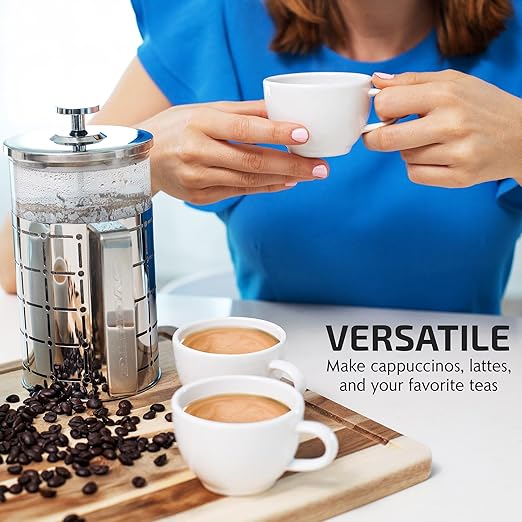 OVENTE French Press Coffee Maker 27 Ounce with Heat Resistant Borosilicate Glass, Stainless Steel Design and 4-Level Filter System, Portable Cold Brewer Pot for Travel, Camping or Gift, Silver FSS27P