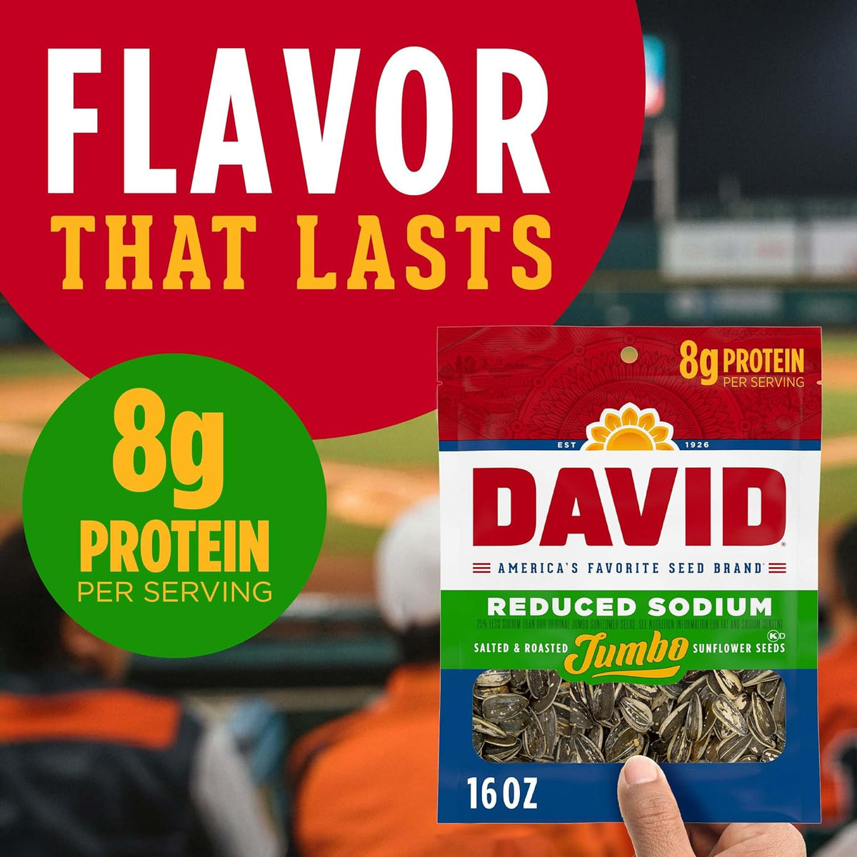 DAVID Reduced Sodium Sunflower Seeds, Original Flavor, 16 oz.