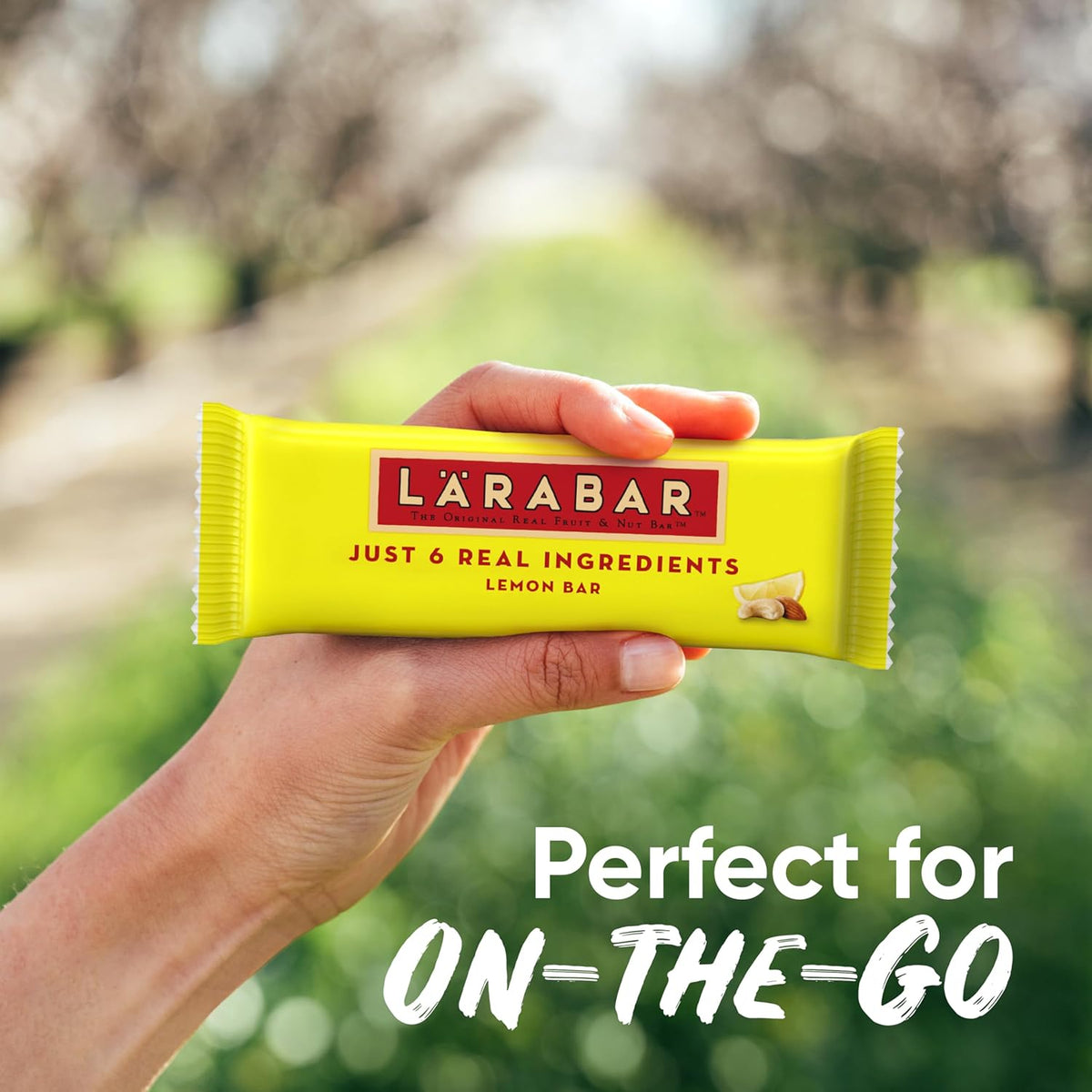 Larabar Lemon Bar Fruit and Nut Bars, Gluten Free and Vegan, 28.8 oz, 18 Ct