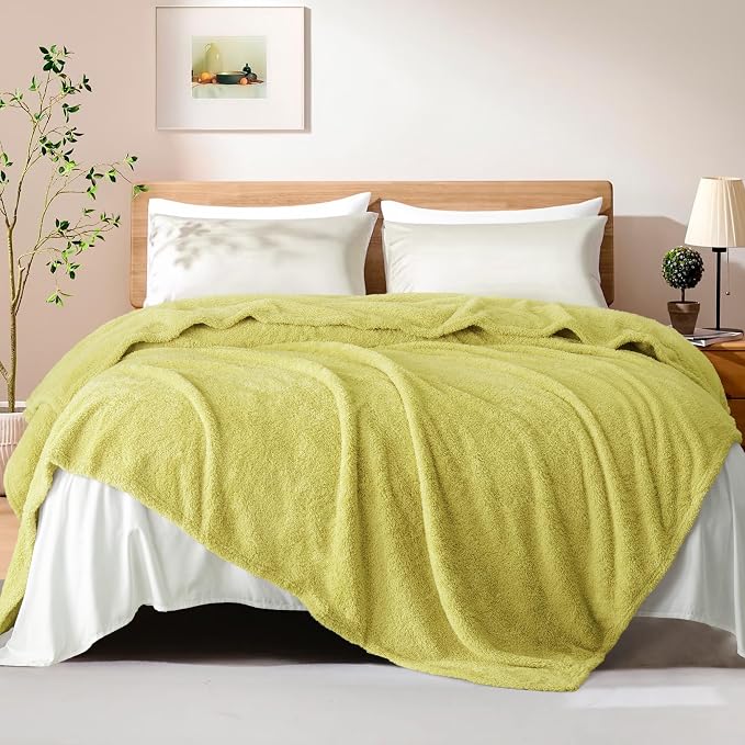 Exclusivo Mezcla Fleece Twin Size Bed Blanket, Ultra Soft, Lightweight and Fuzzy Light Green Blanket for Women, Home Decor, 60x80 Inches