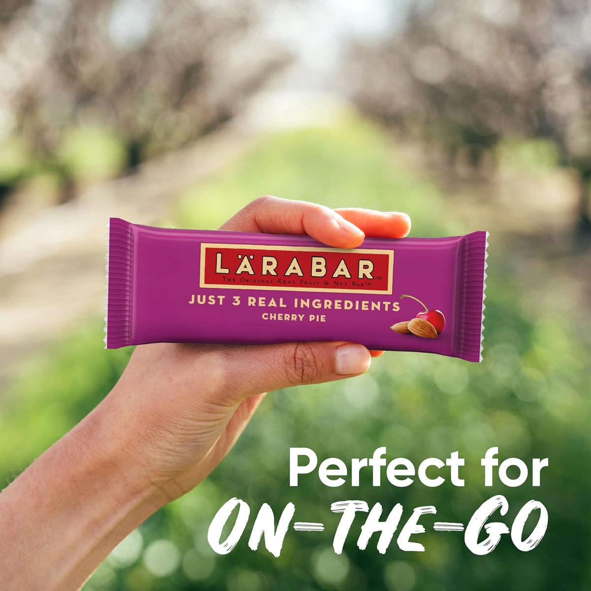 Larabar Cherry Pie Fruit and Nut Bar, Gluten Free and Vegan, 27.2 oz, 16 Ct