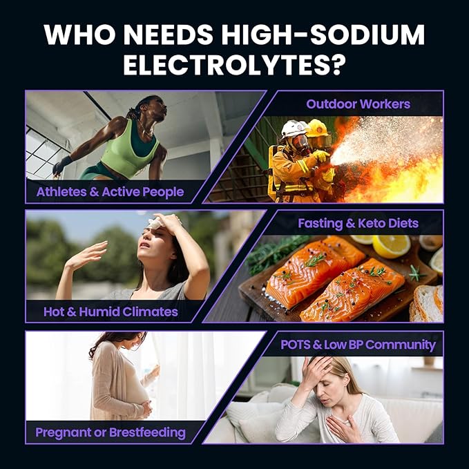Venture Pal High Sodium Electrolyte Powder Packets | Sugar Free Hydration Drink Mix with Sodium, Potassium, Magnesium & Vitamins | Zero Calorie | Keto, Vegan & Paleo Friendly | 30 Sticks