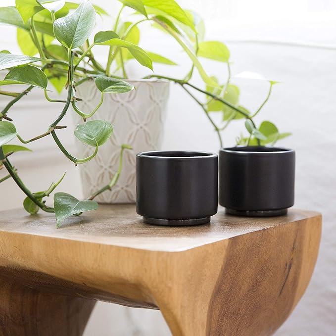 Fellow Monty Milk Art Espresso Cups - Small Double Wall Ceramic Demitasse, Matte Black with Graphite Base, 3 oz Cup (Set of 2)