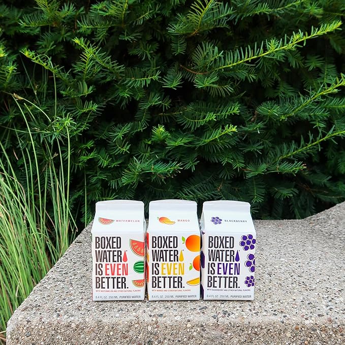 Boxed Water 8.5 oz. (24 Pack) – Blackberry in Boxes, BPA-Free, Refillable Cartons, Sustainable Alternative to Premium Plastic Bottled Water, Mini Water for Kids