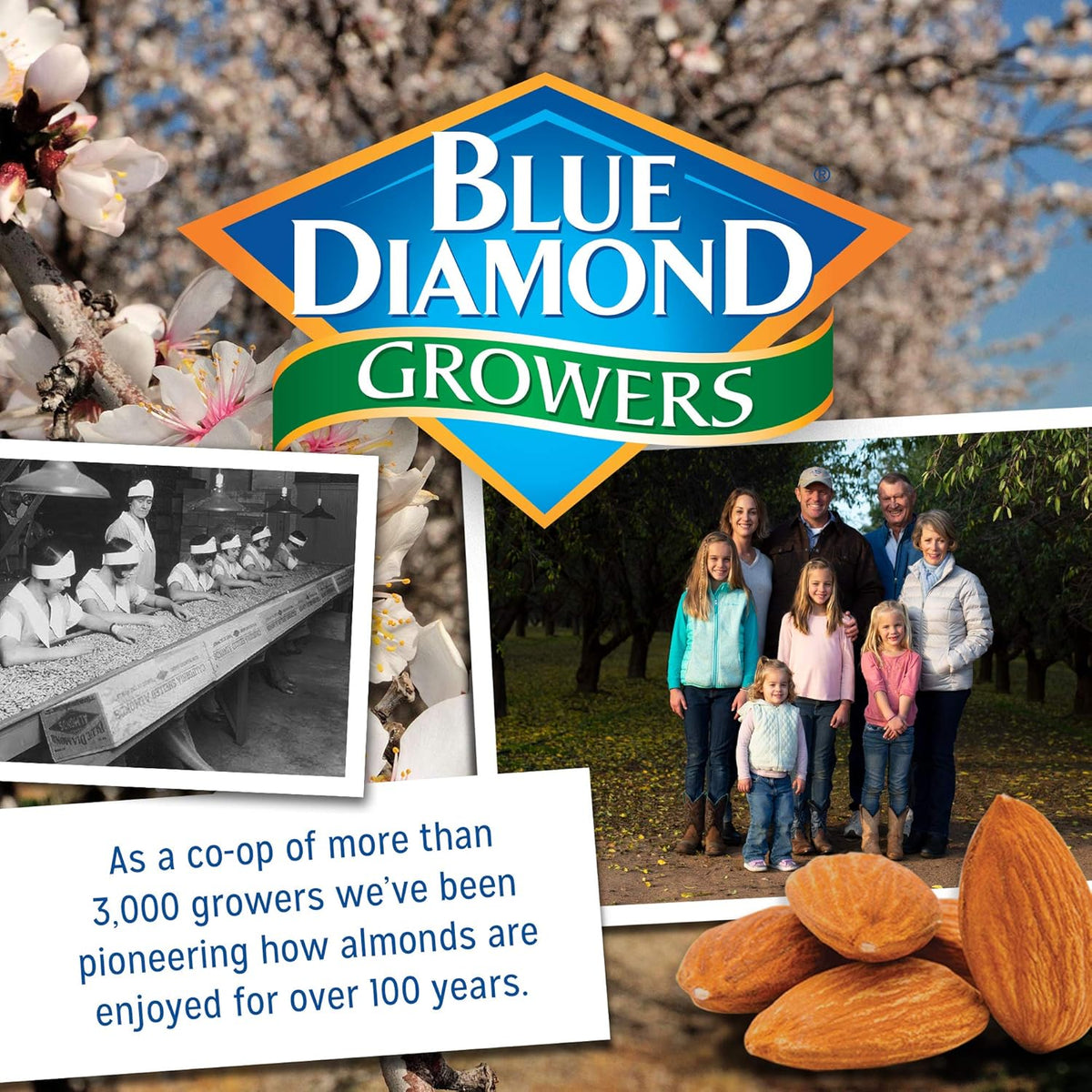 Blue Diamond whole natural raw almonds, 25 oz resealable gluten-free snack bag, pack of 1
